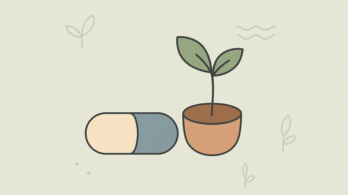 FODMAPs After Antibiotics: Rebuilding Your Gut Without Flaring