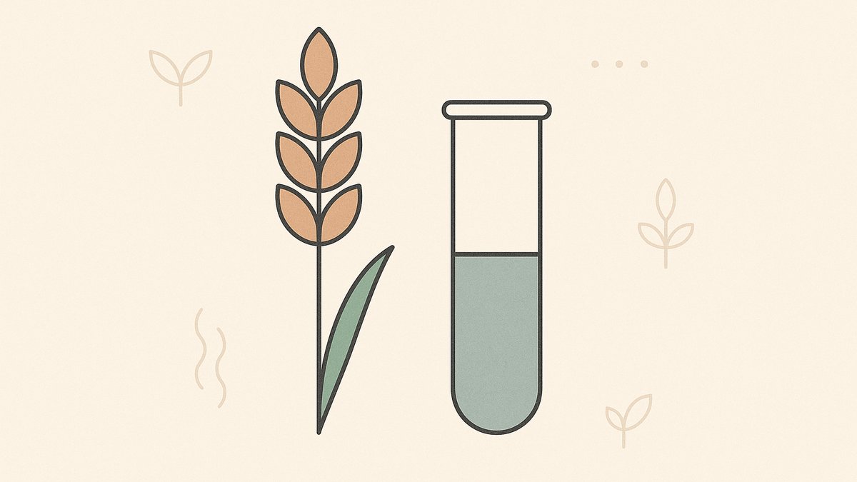 How to Do a Fructan Challenge (Wheat, Onion, Garlic)
